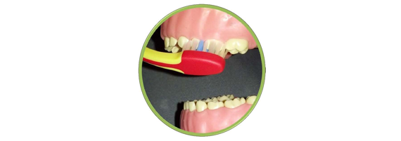 Brush Your Teeth