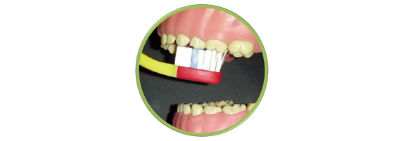 Brush Your Teeth