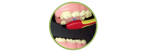 Brush Your Teeth